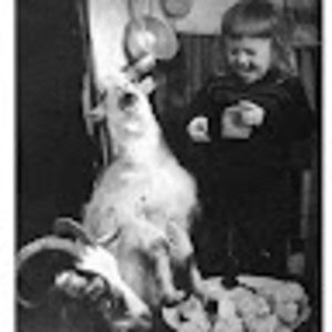 Meet your Posher, Lila